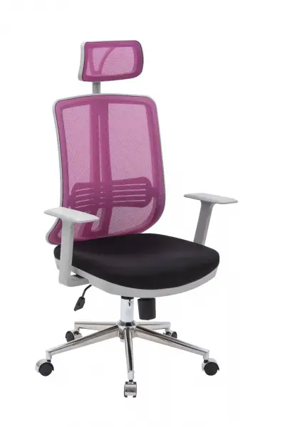 livor-fileli-ofis-koltugu